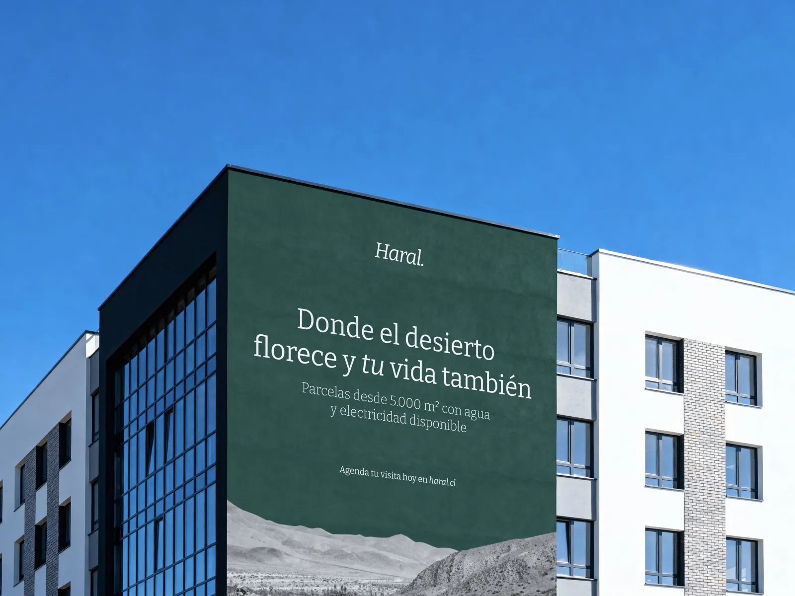 Haral — Brand, internal software, and consulting for a real estate developer.